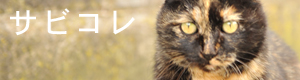 これぞサビ猫的な表情をカメラに向けているバナー「サビ猫コレクション」ページへ