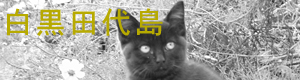 田代島で数が多い幼い黒猫のバナー「田代島の猫」写真ページへ