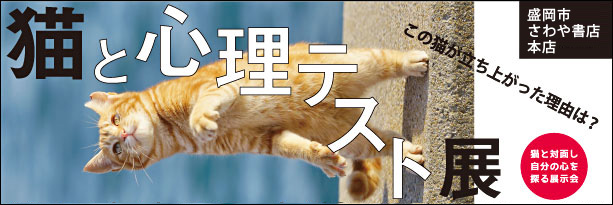 洋泉社MOOK「猫だらけ　ちびワルにゃん」の告知、クリックするとアマゾンページへ